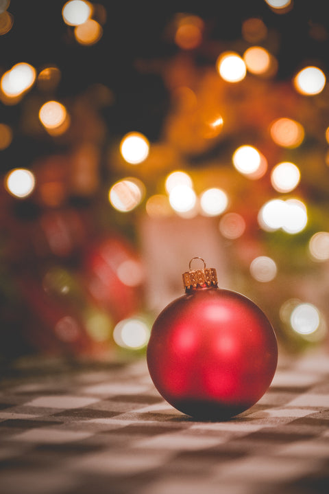 Your Holiday Survival Guide