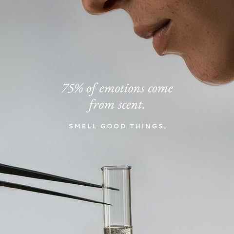 Olfactory Intelligence