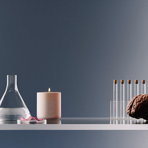 How Scent Impacts the Brain: The Complete Science of Smell