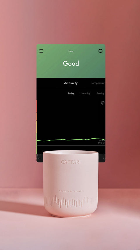 The Cleanest Candles You Can Buy — Caftari Candles Emit Zero VOCs on a Dyson Air Purifier