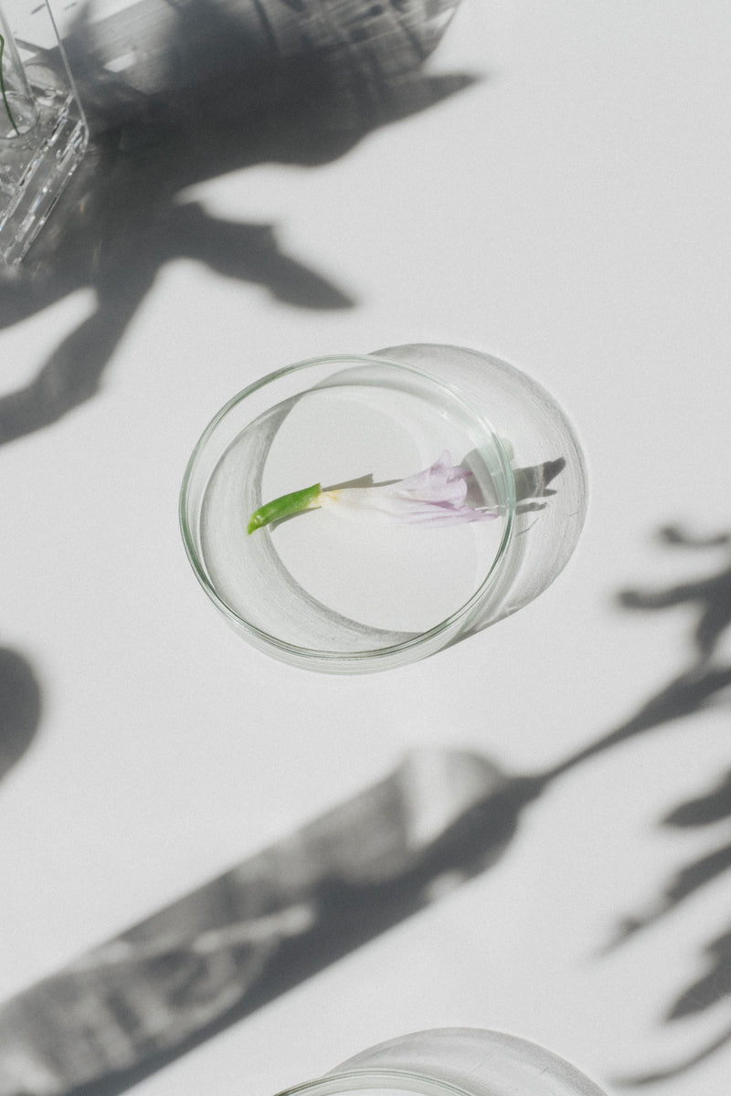  neuroscience-backed wellness